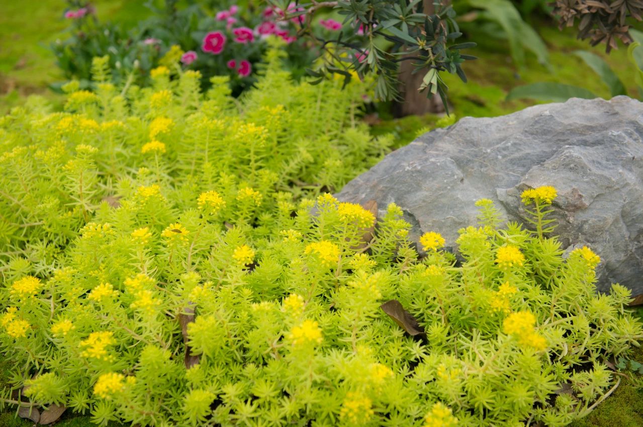 争来争去，只是个空