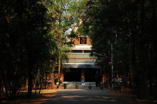 阿姜查尊者：人们追求谋生的知识，并不追求实相