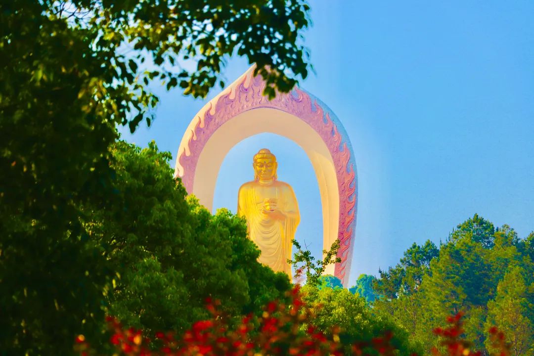 穿越时空，让我们去见识戒法的珍贵