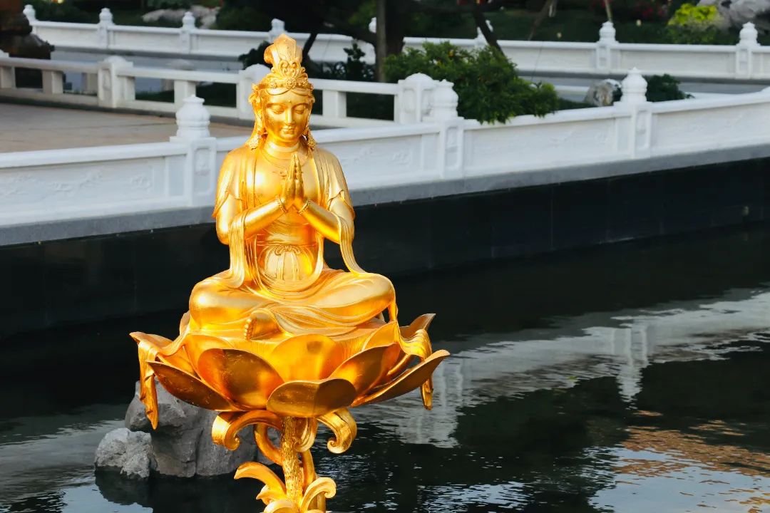 穿越时空，让我们去见识戒法的珍贵