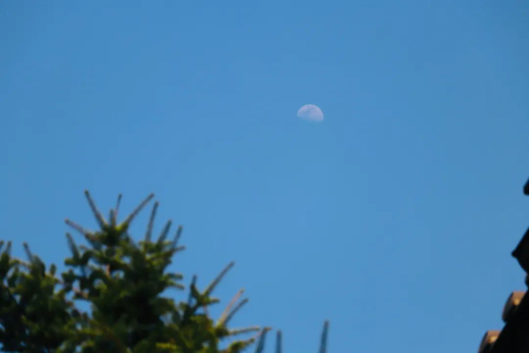 穿越时空，让我们去见识戒法的珍贵