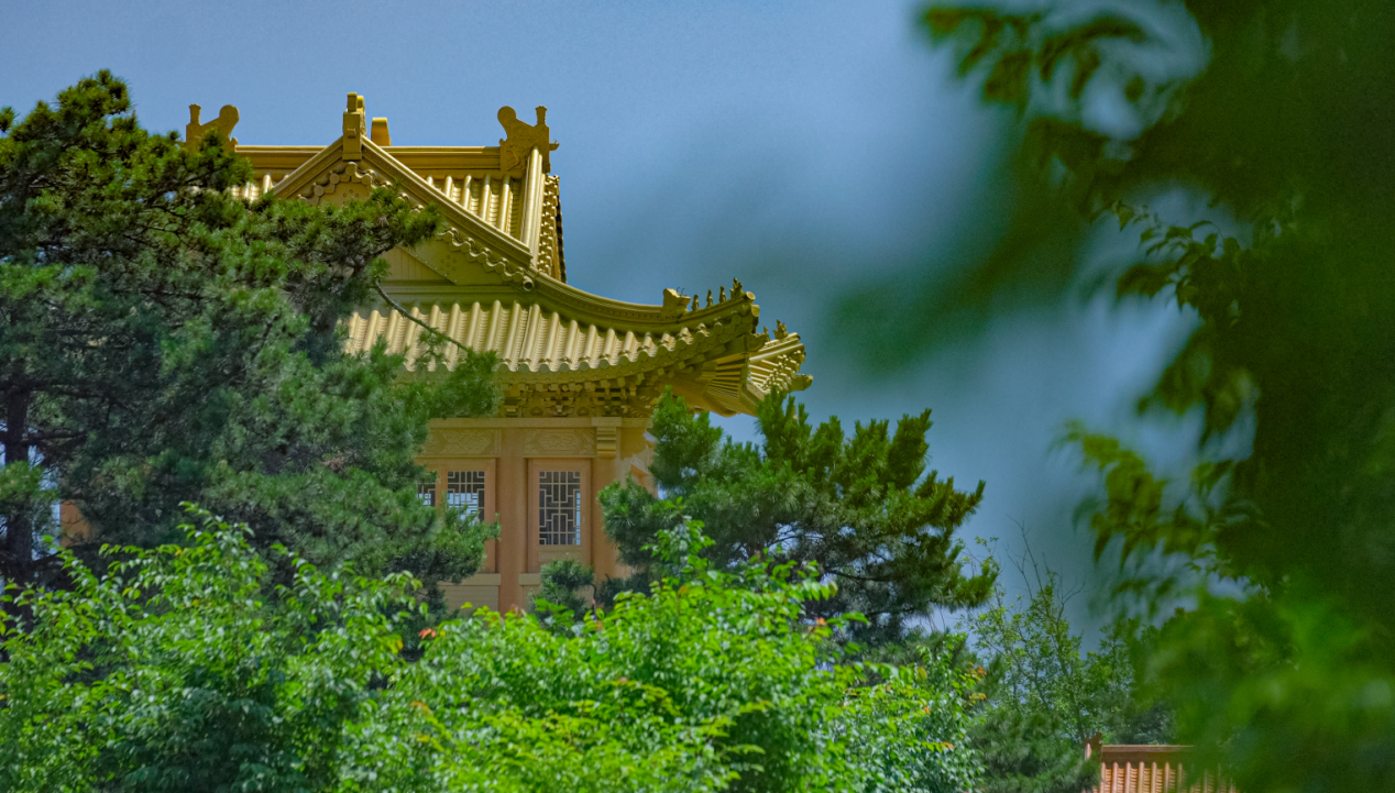 一切皆有定数，凡事不可强求