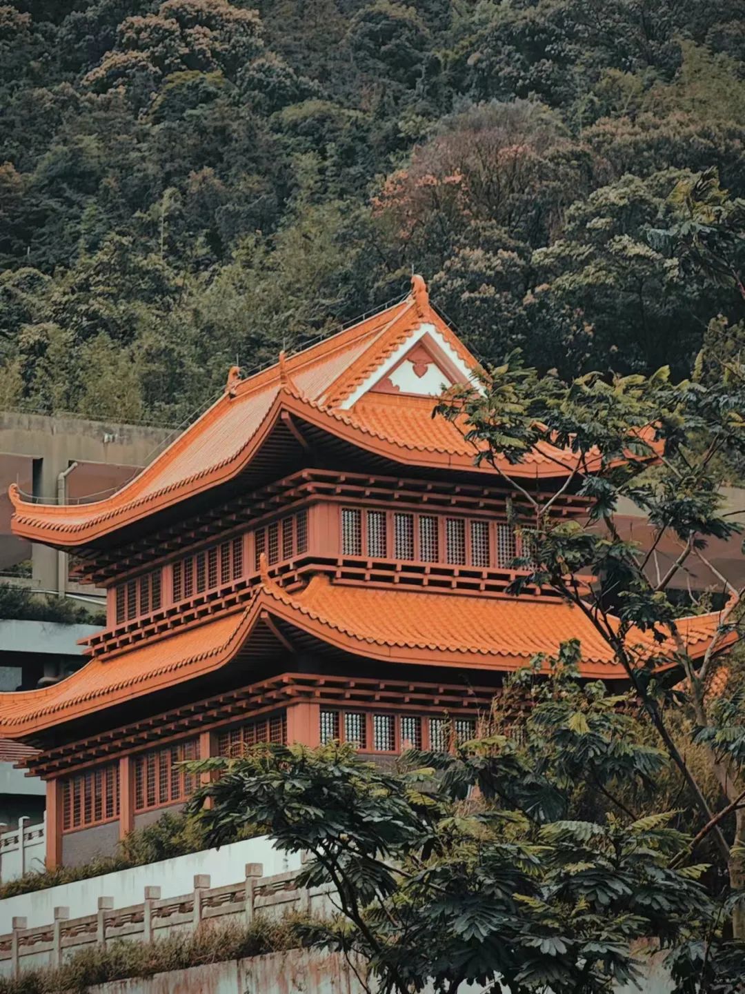 祸福无常 体悟流动的智慧