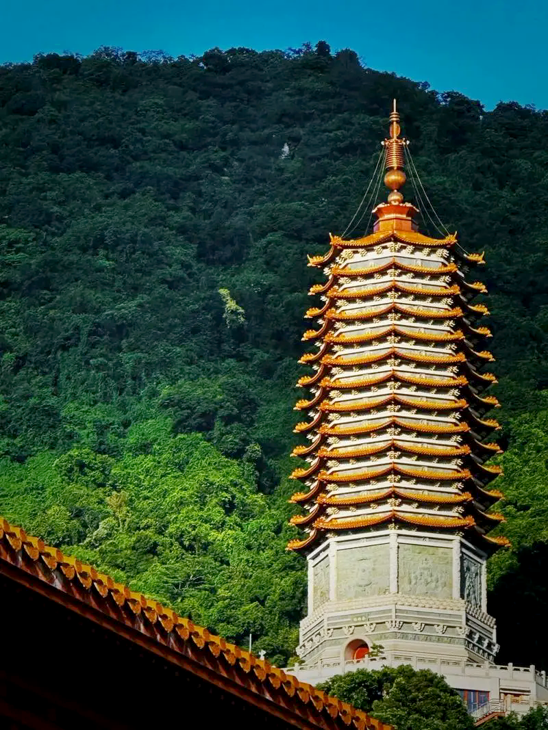 放弃是一种境界，大弃大得，小弃小得