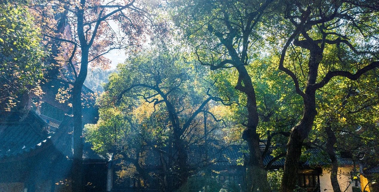 如何看待欲望？