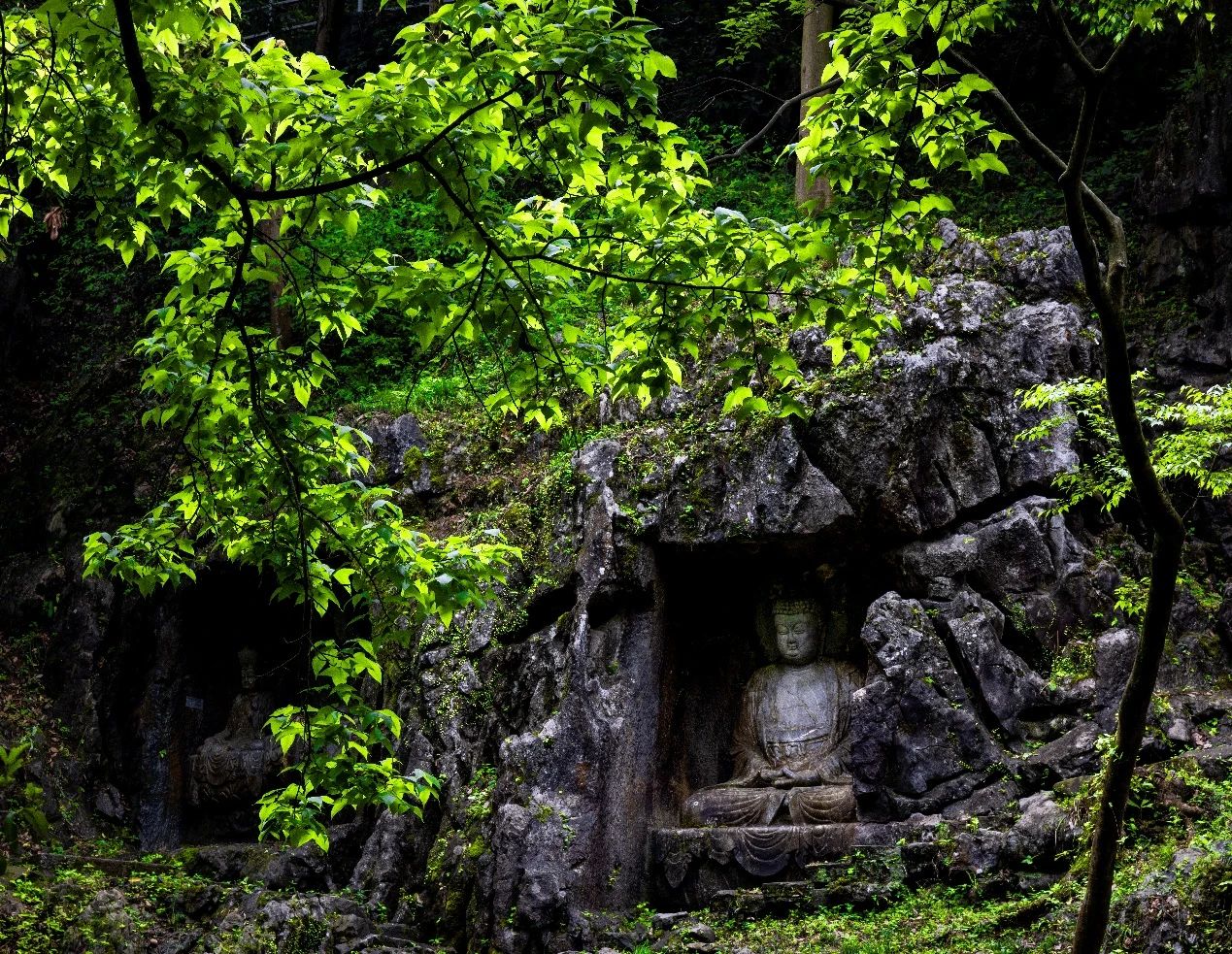 如何看待欲望？