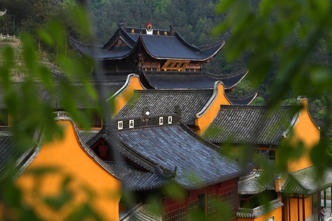 报名｜杭州灵隐寺2024年丛林生活体验