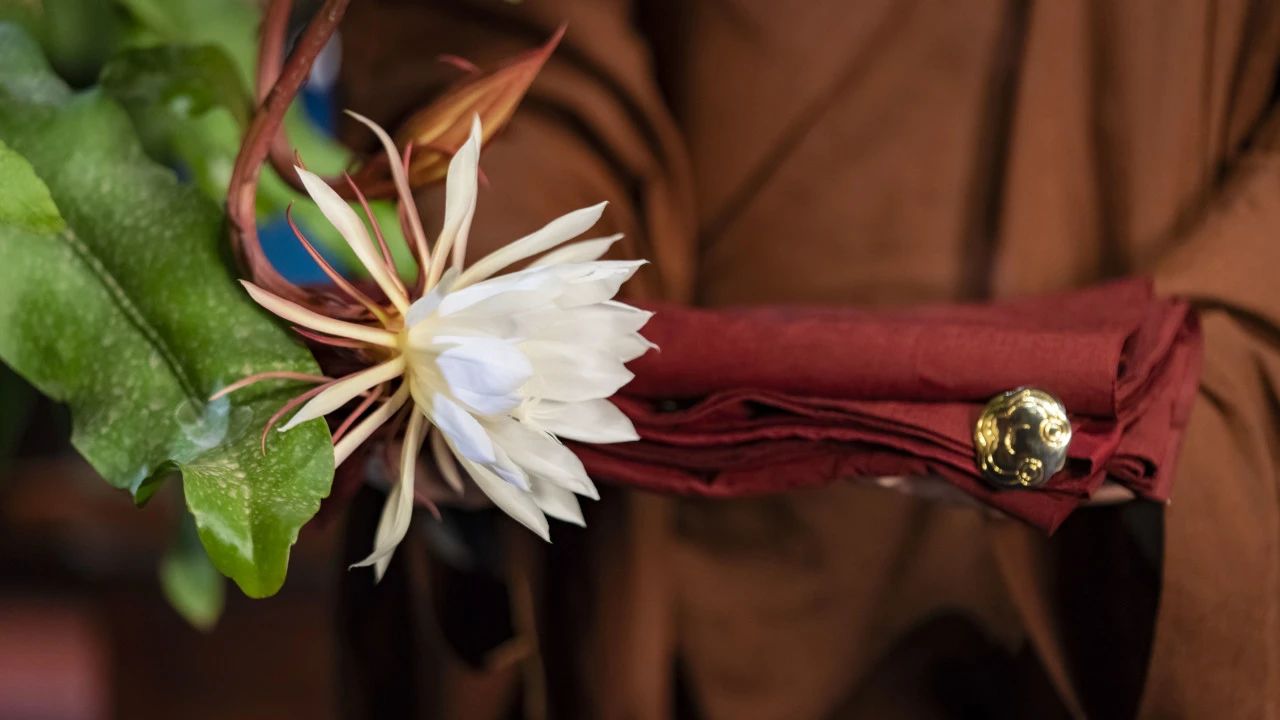 读懂，这身衣服的“含金量”