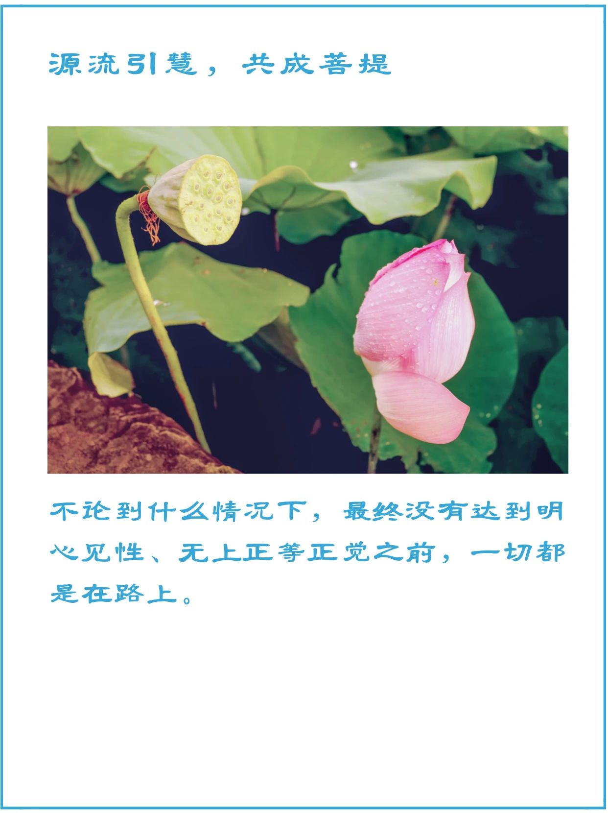 退出五蕴才见性