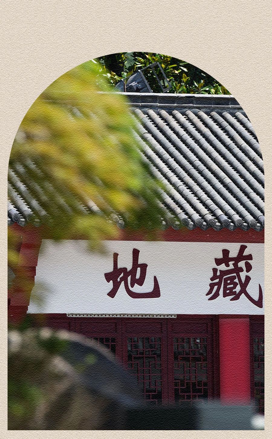 下半年有什么期待呢？