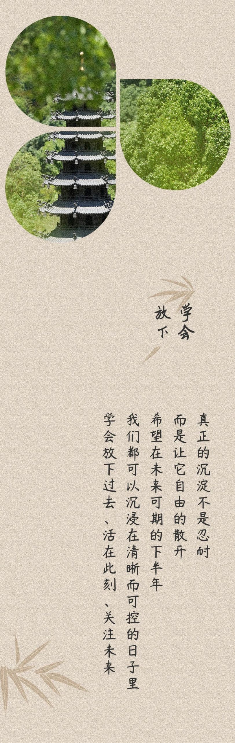 下半年有什么期待呢？