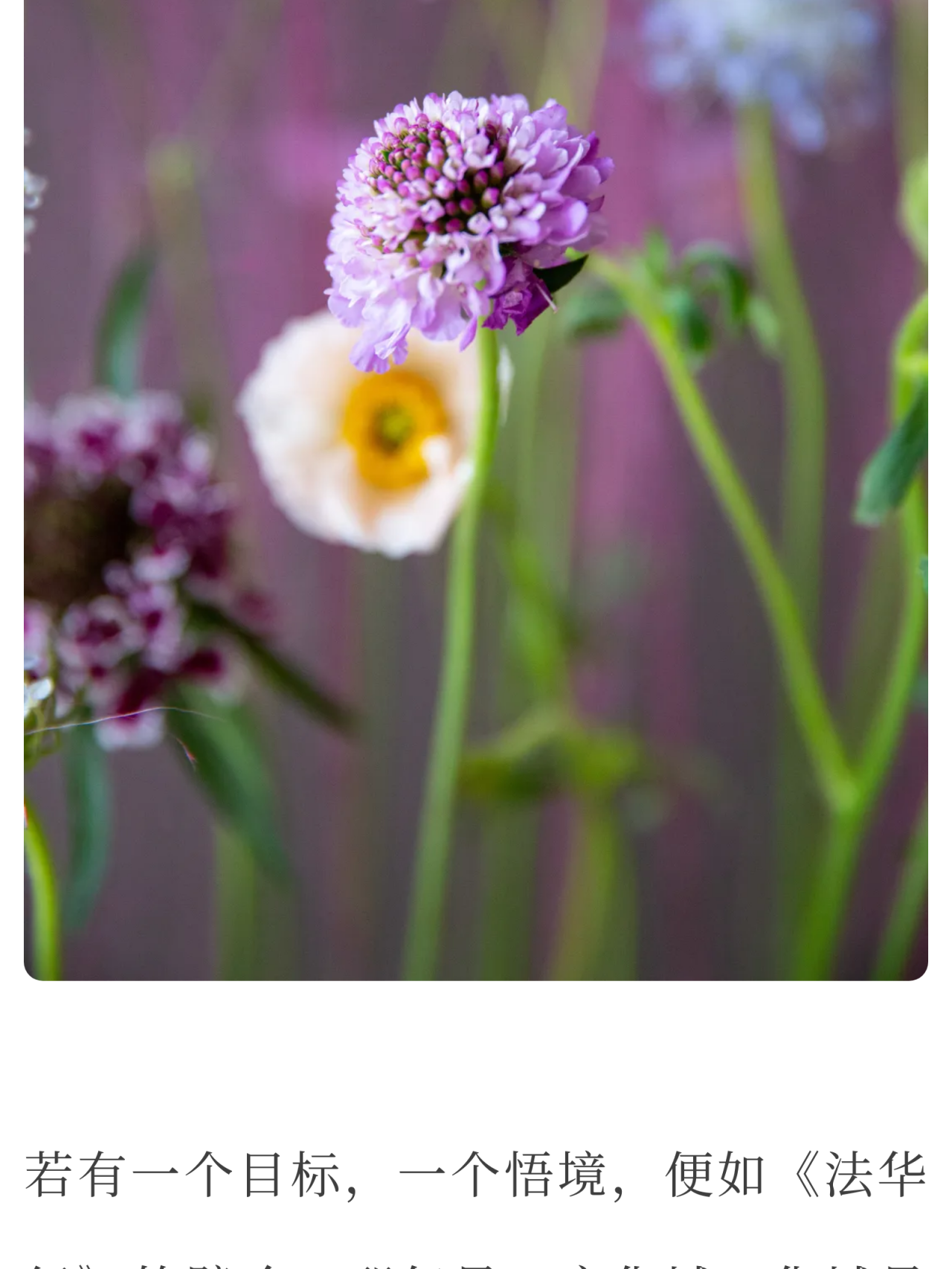 打坐的好处说不尽，看看是否适合你？