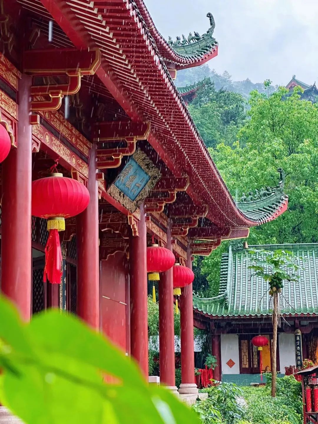 大愿法师：我贪、我痴、我见、我慢