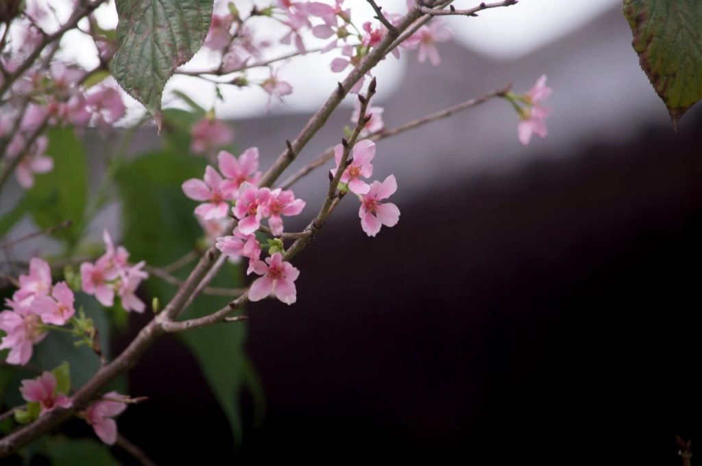 不言人私，不揭人短