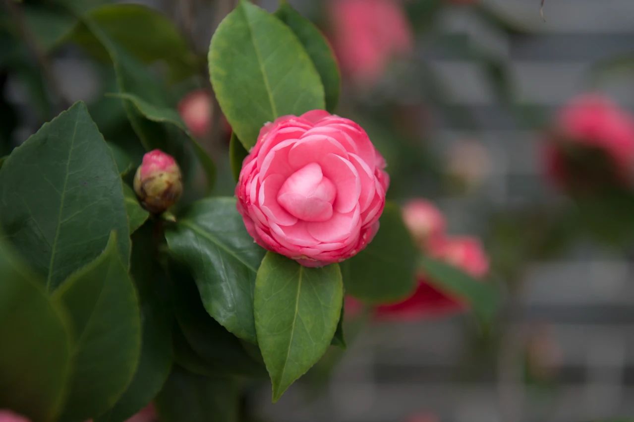 不言人私，不揭人短