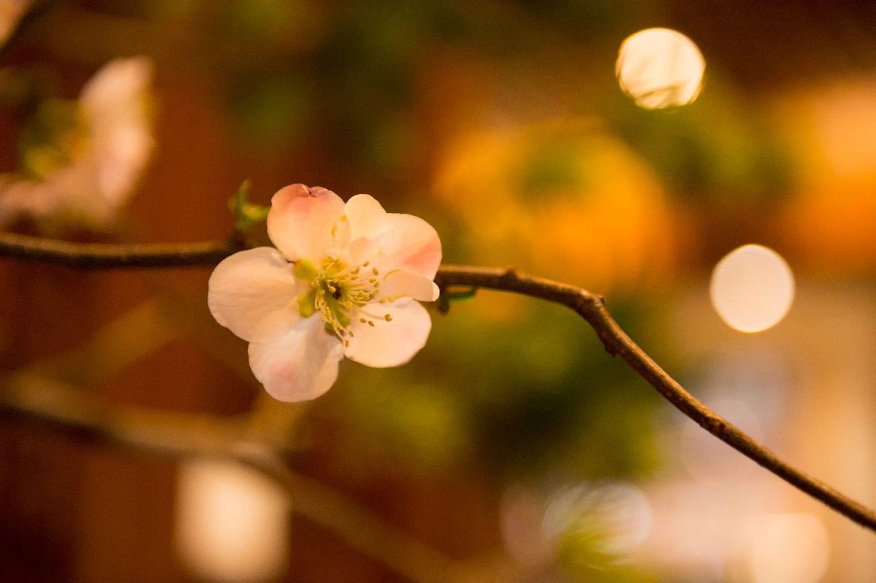 不言人私，不揭人短