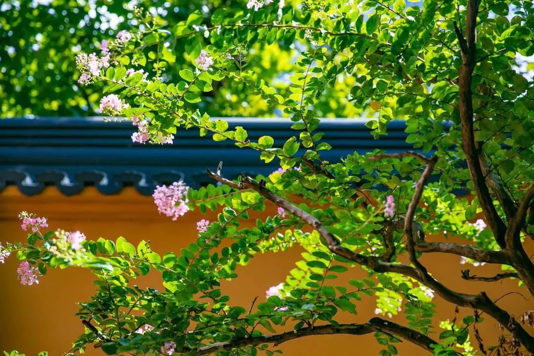 你的命运，就藏在你的起心动念里