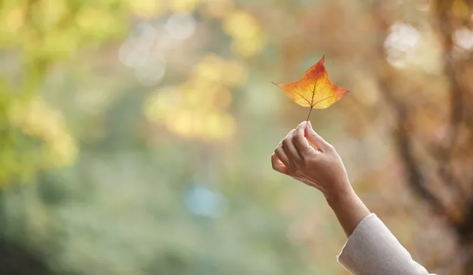 得失皆随缘，心宽人自安