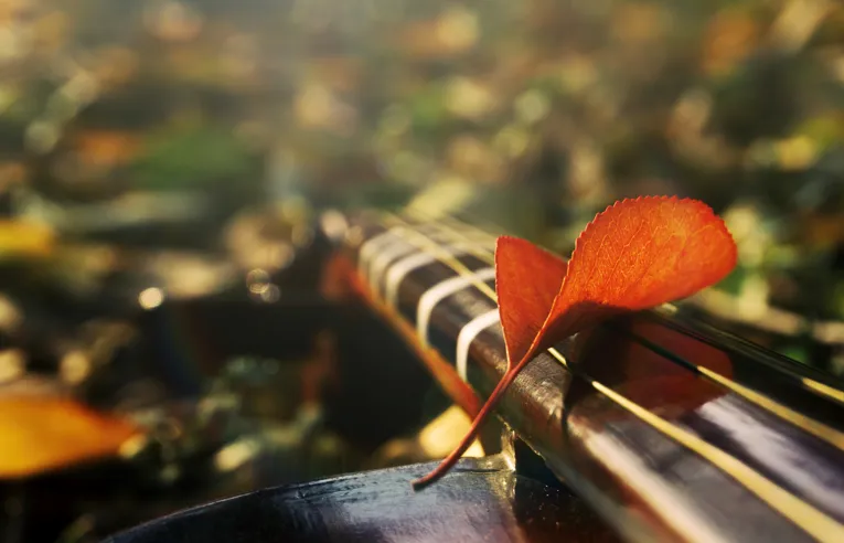 得失皆随缘，心宽人自安