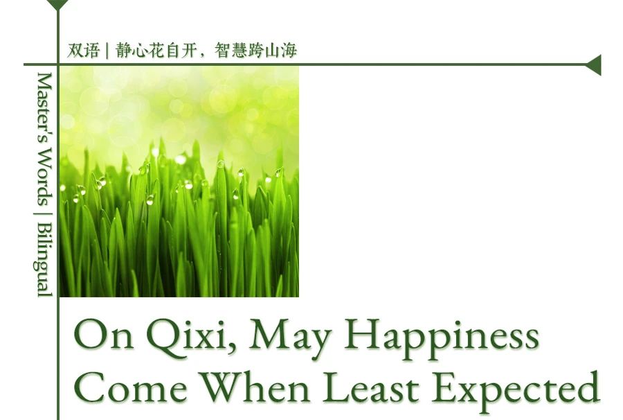 济群法师：愿所有幸福不期而至