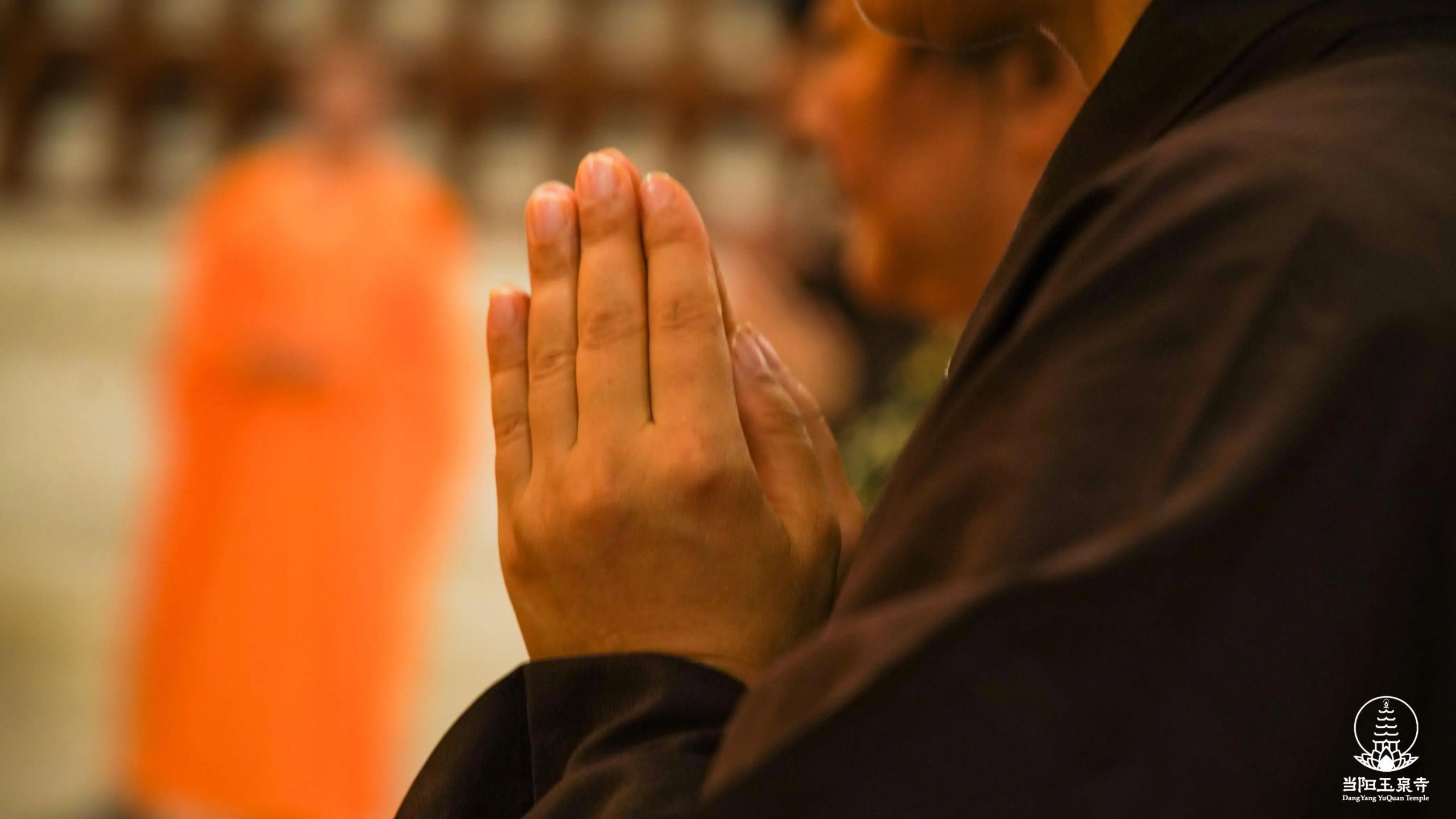 念佛人往生及不往生的证据