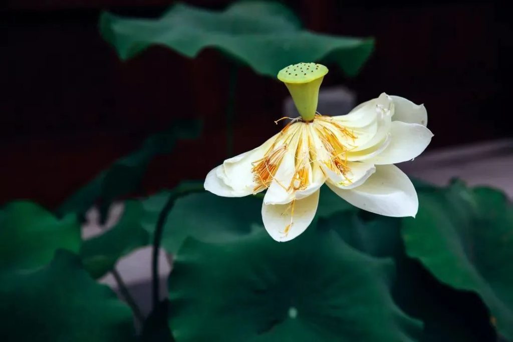 不是所有努力都叫精进，方向错了南辕北辙