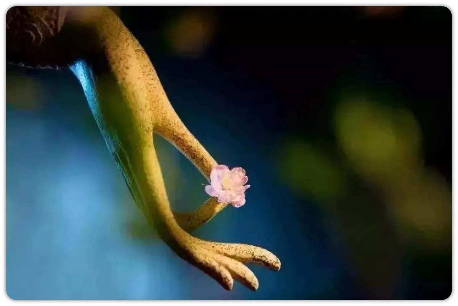 大安法师：修行要「远离粗言 , 修习善语」