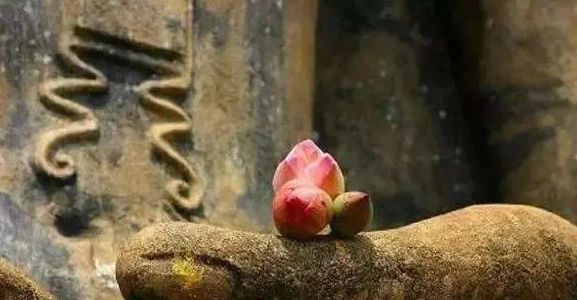 修行高僧谈修行（参禅悟道有这八个秘密）