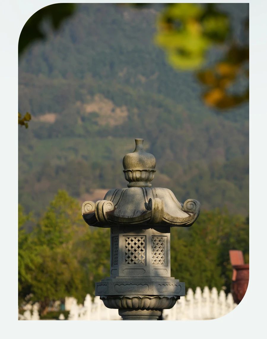 一切果报，都是刚刚好...