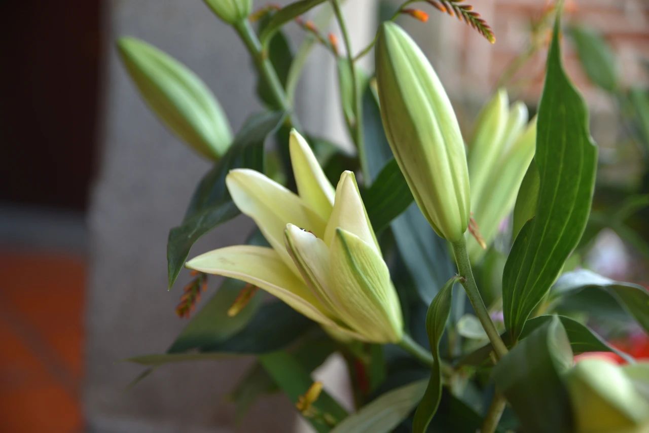 择法觉支是第一念，还是第二念，或是第三念