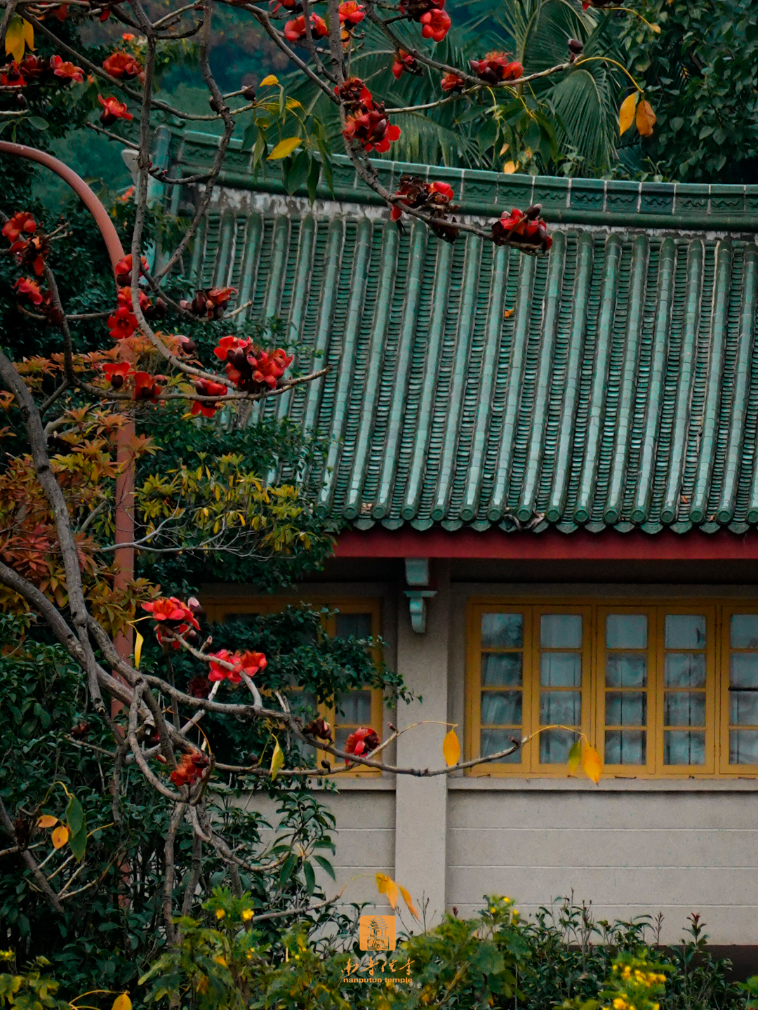 朝花夕拾，夏日如风