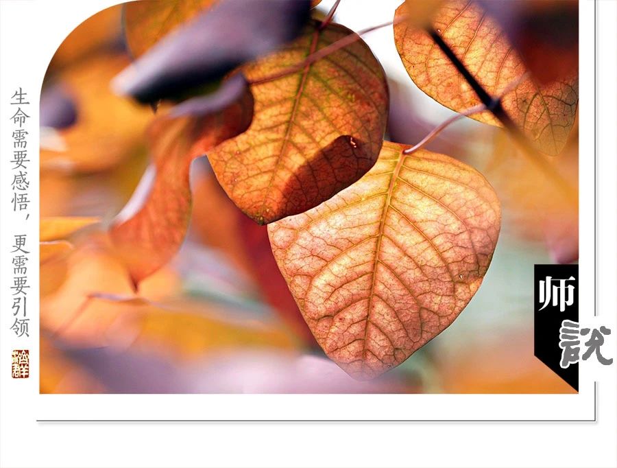 济群法师：人生很短也很长，赚多少钱才能不心慌？