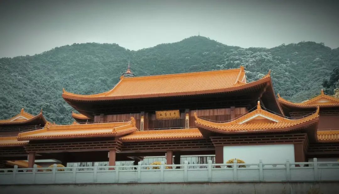 良言一句三冬暖，恶语伤人恨难消