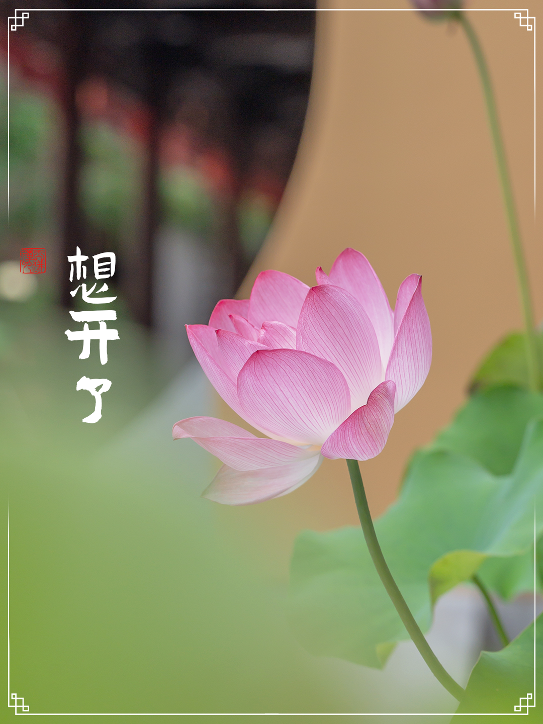 多看几遍，什么都能想开了