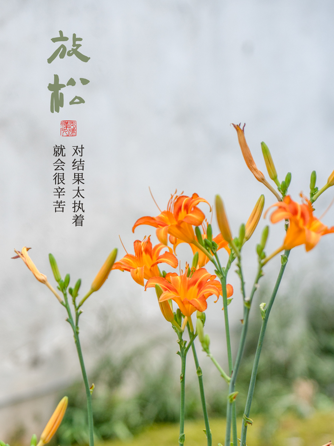 多看几遍，什么都能想开了