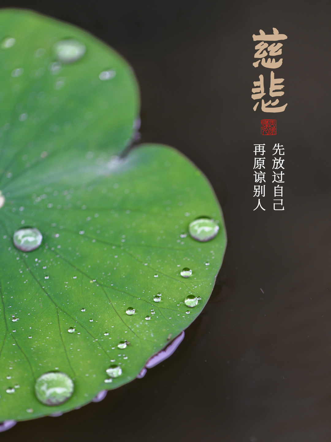 多看几遍，什么都能想开了