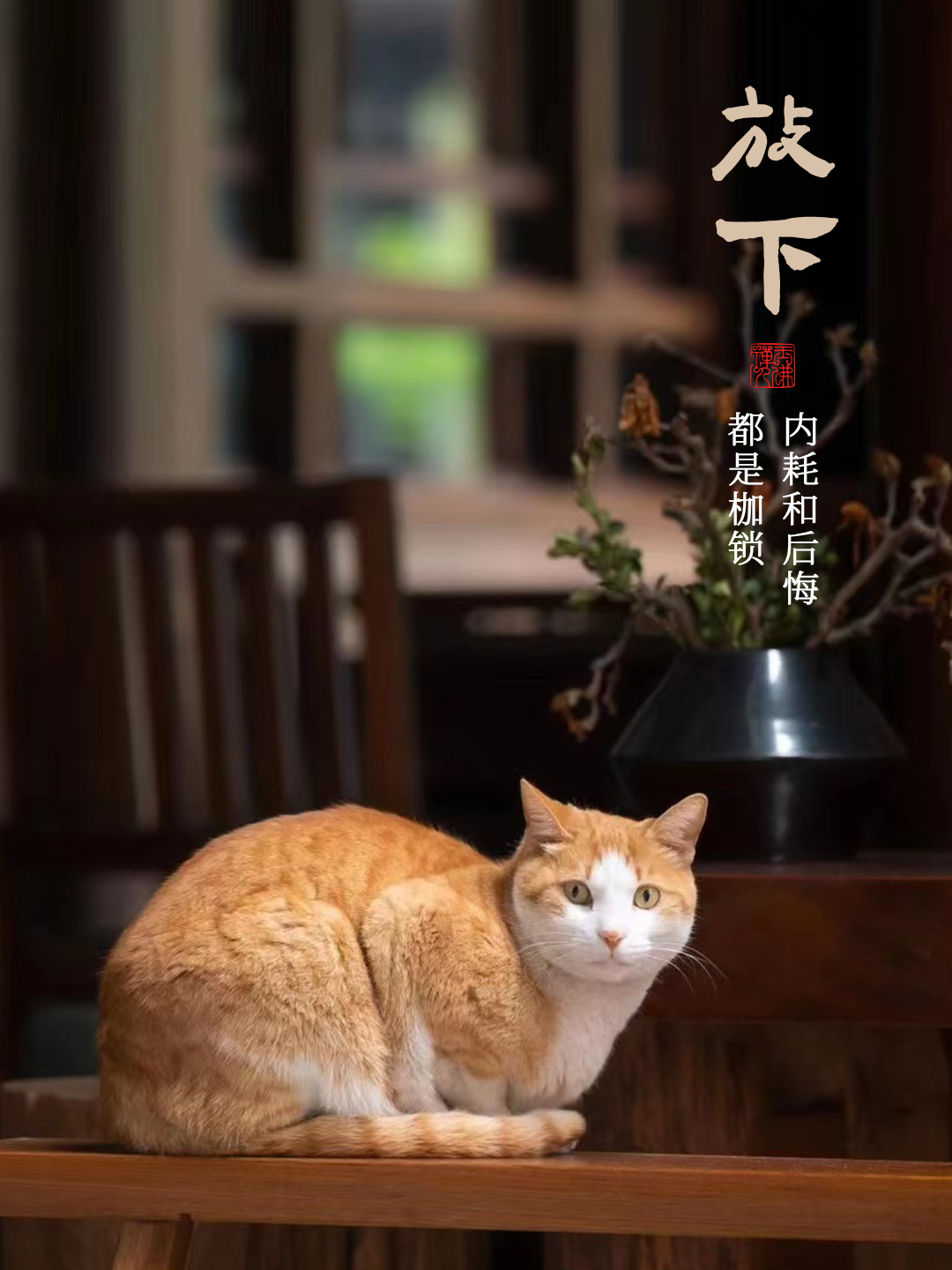 多看几遍，什么都能想开了