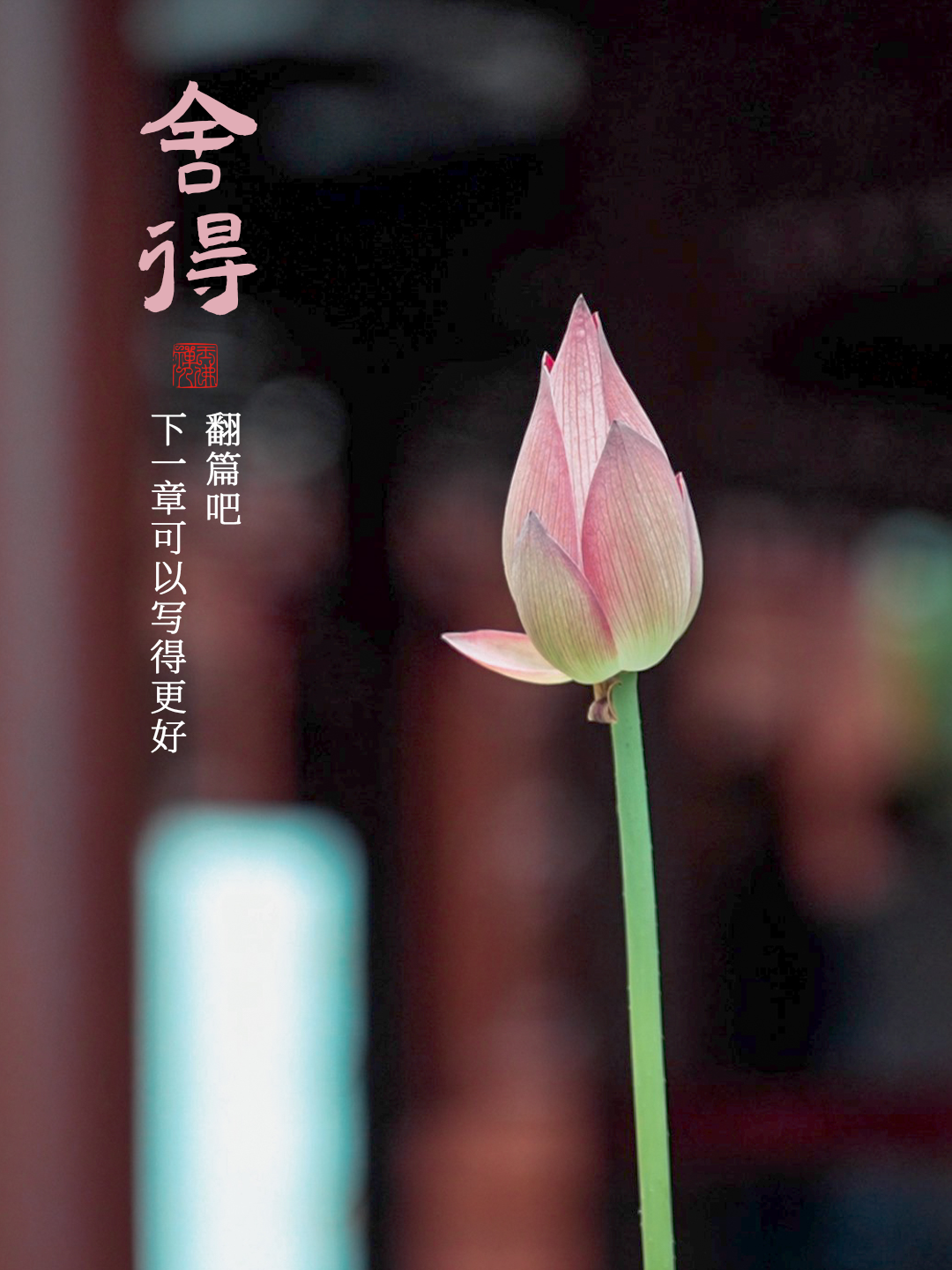 多看几遍，什么都能想开了