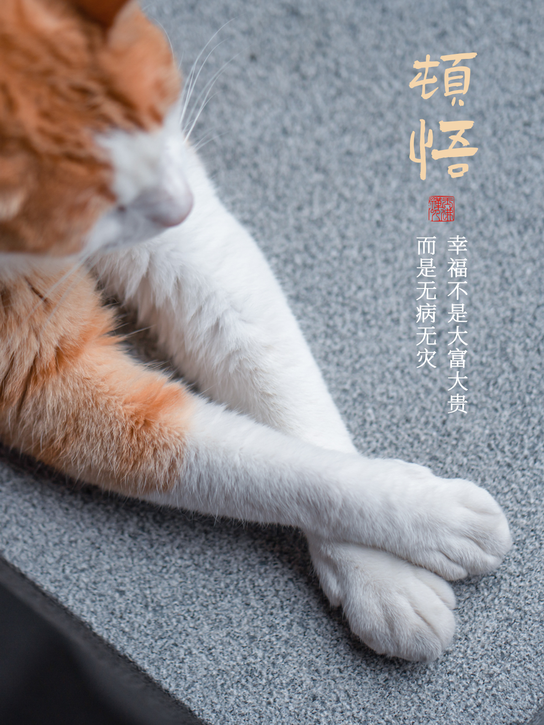 多看几遍，什么都能想开了