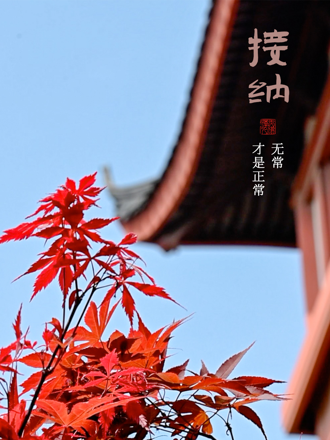 多看几遍，什么都能想开了