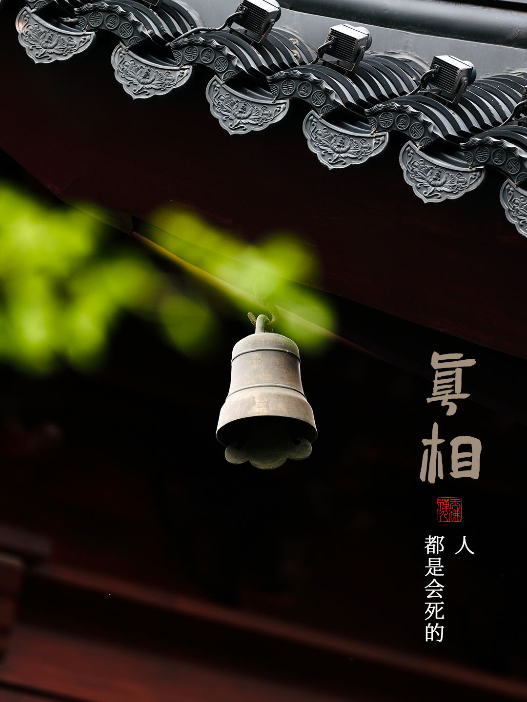 多看几遍，什么都能想开了