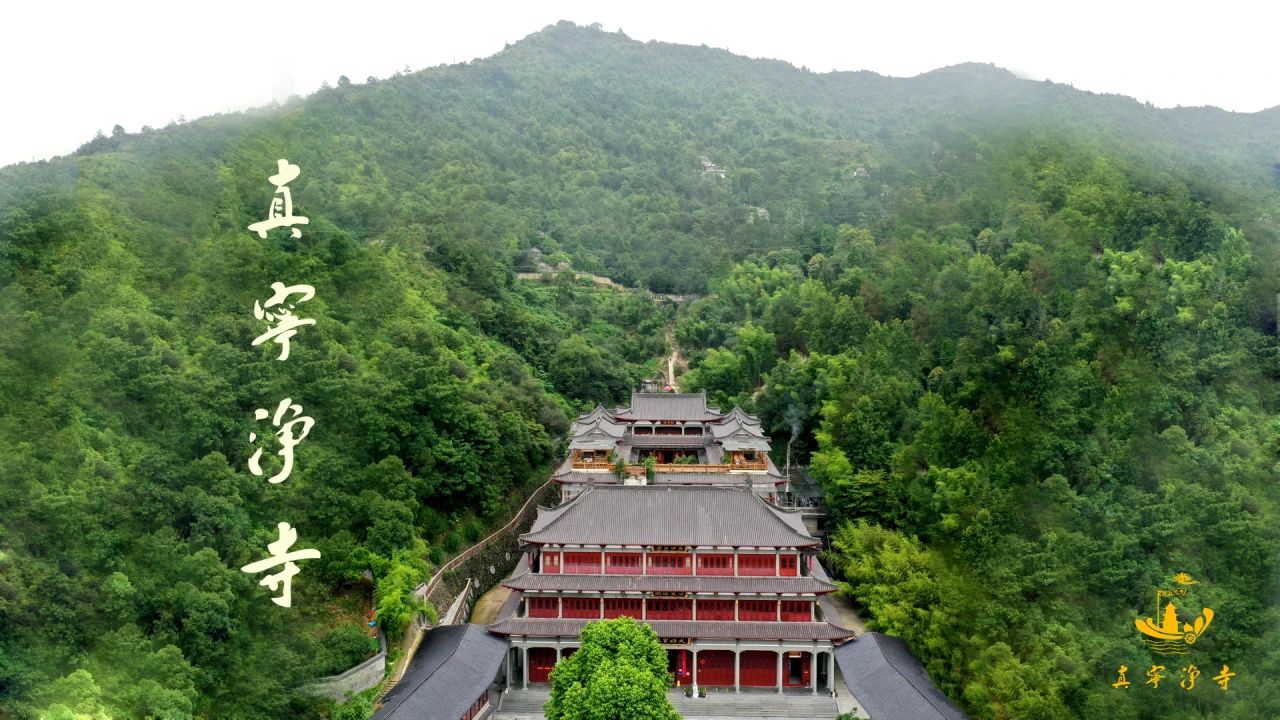 禅修丨2024【真宁净心】国庆青年禅修营欢迎您！