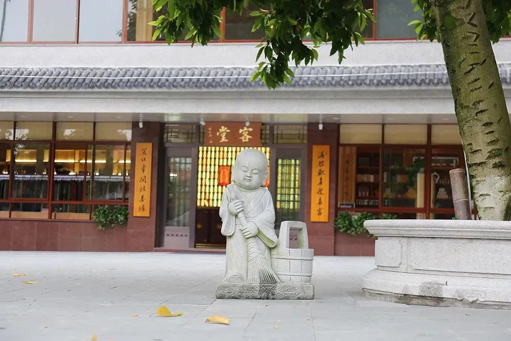 禅修丨2024【真宁净心】国庆青年禅修营欢迎您！