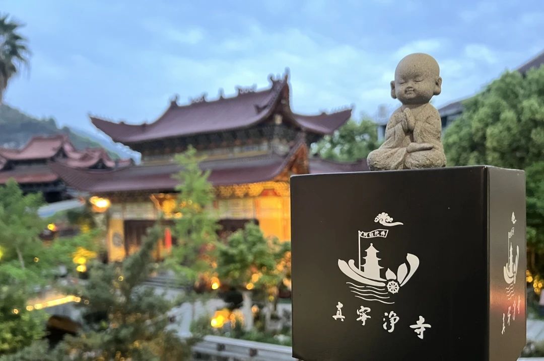 禅修丨2024【真宁净心】国庆青年禅修营欢迎您！