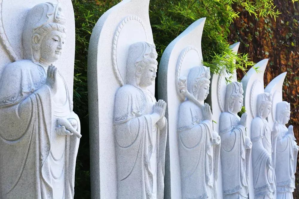 禅修丨2024【真宁净心】国庆青年禅修营欢迎您！