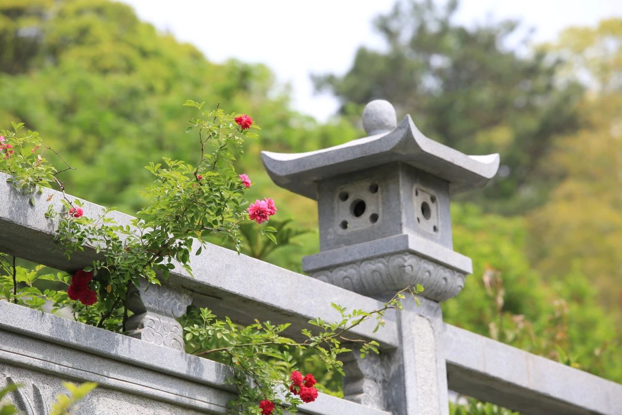 禅修丨2024【真宁净心】国庆青年禅修营欢迎您！