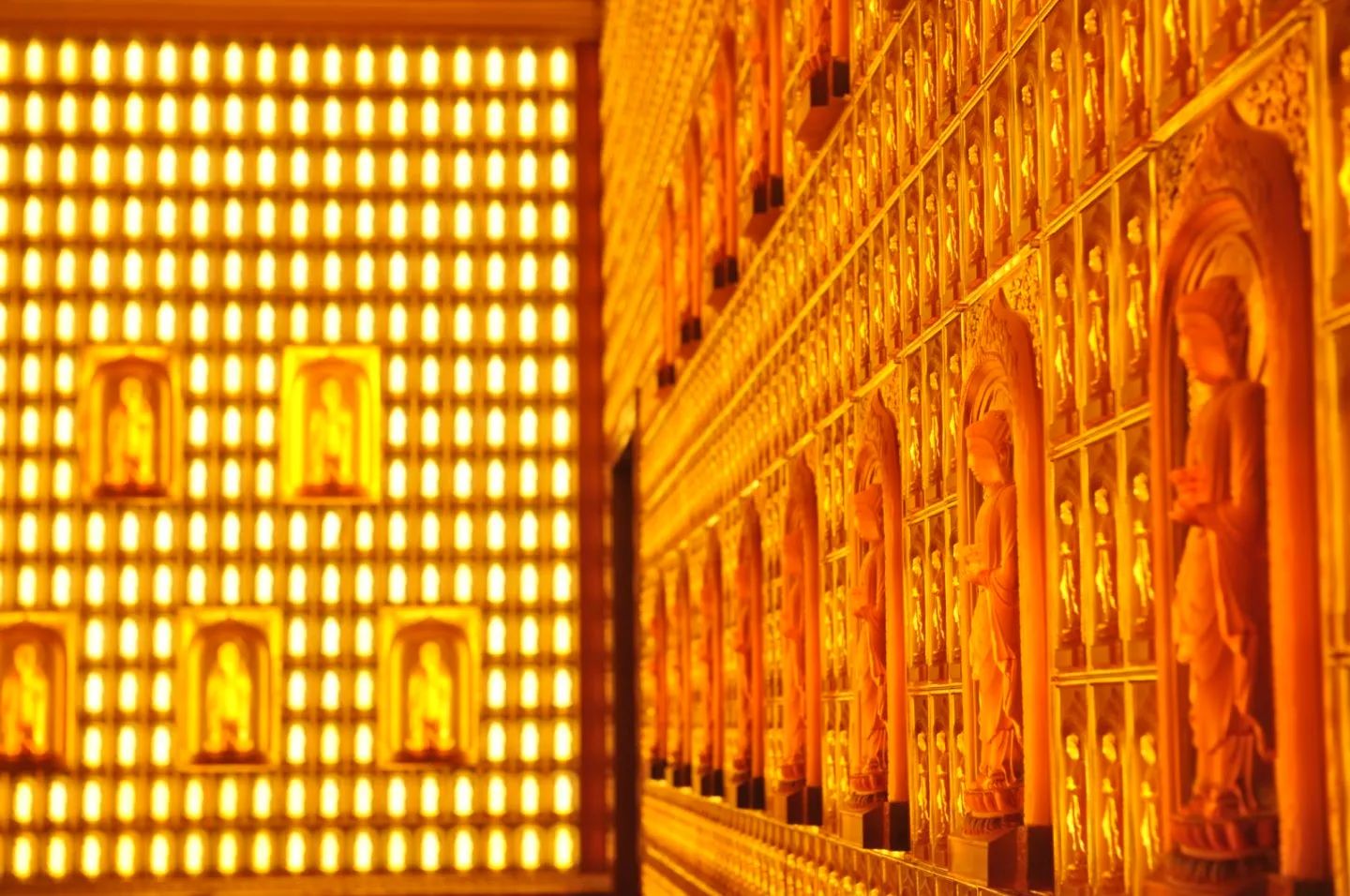 禅修丨2024【真宁净心】国庆青年禅修营欢迎您！