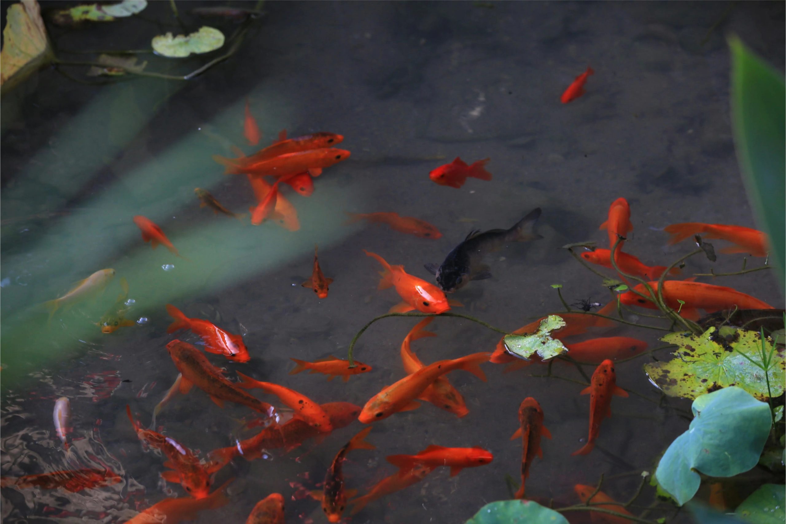 禅修丨2024【真宁净心】国庆青年禅修营欢迎您！