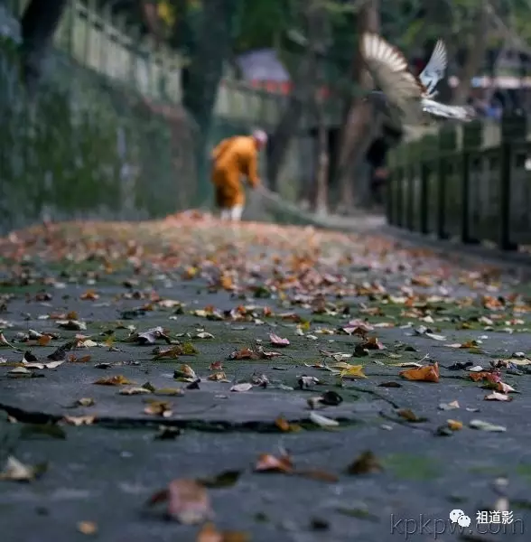 界诠法师：有人问我说短期出家，你有什么看法？佛教本来没有一个短期出家的