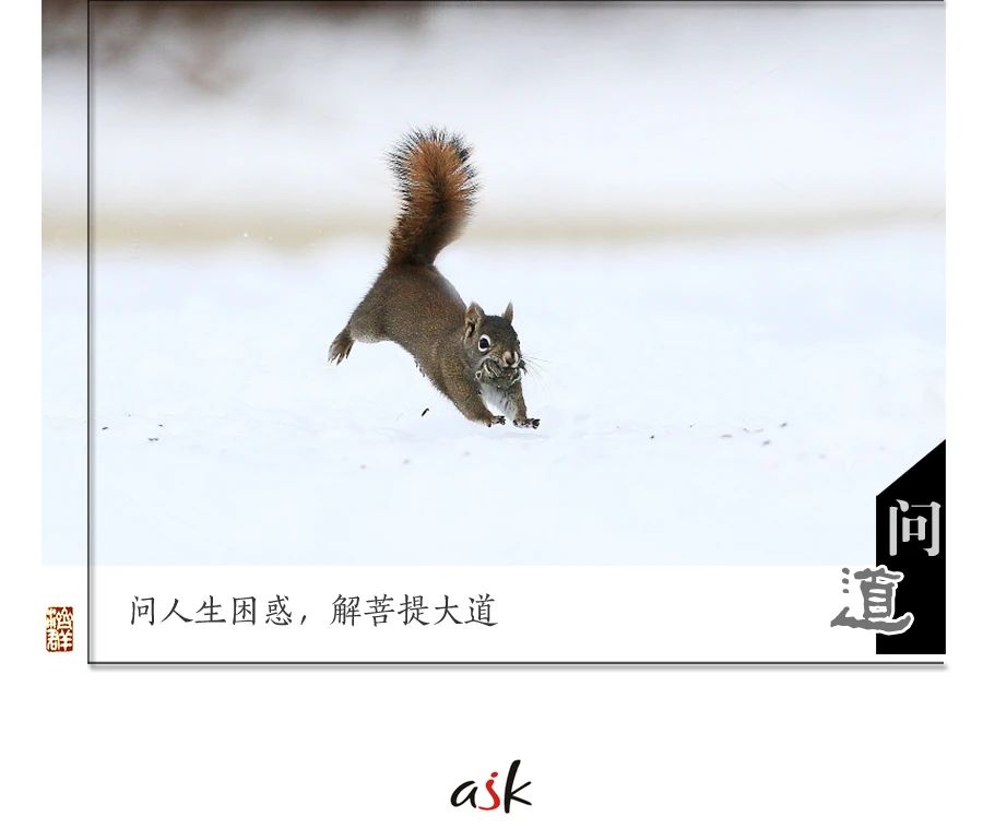 济群法师：一旦这样想，赶紧踩刹车